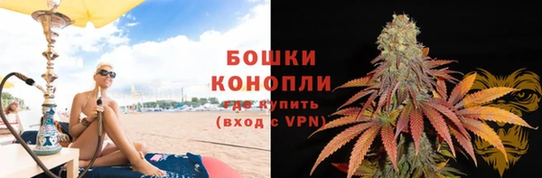 мдпв Майский