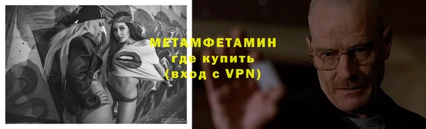 трава Балахна