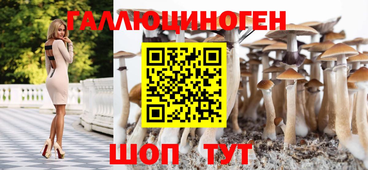 Галлюциногенные грибы MAGIC MUSHROOMS  Псилоцибиновые грибы мухоморы  купить наркотики сайты  Вход с VPN  Беслан 