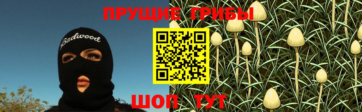 Псилоцибиновые грибы Psilocybine cubensis  Беслан  Галлюциногенные грибы мухоморы 