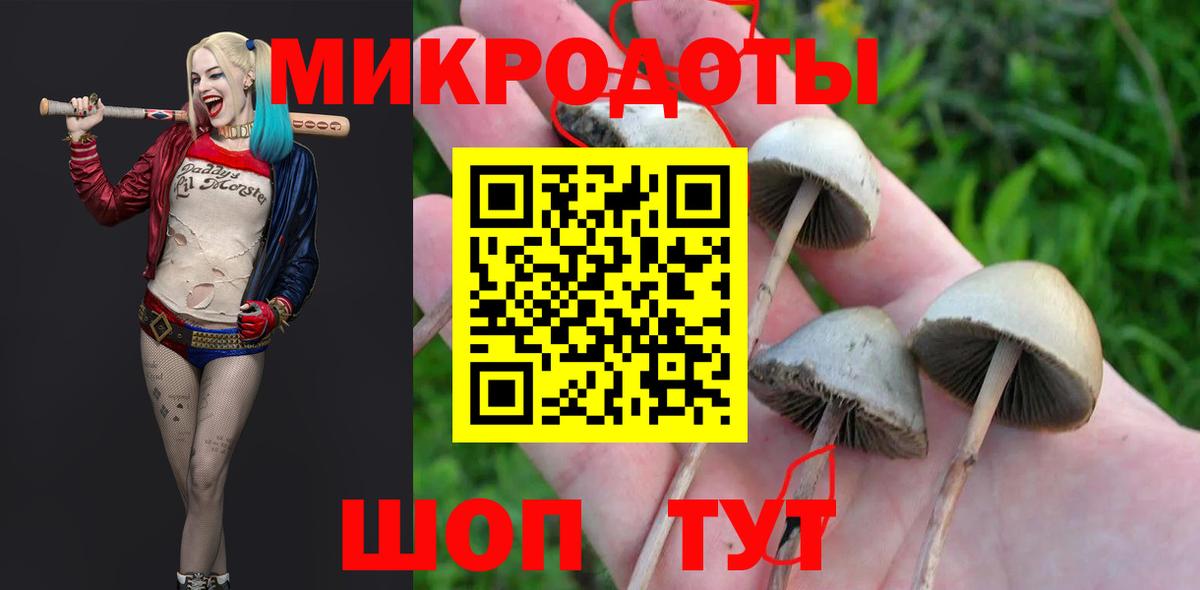 Псилоцибиновые грибы прущие грибы Беслан